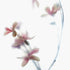 Pink Magnolia Floral Art Print